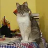 Отзыв от Любовь Горохова